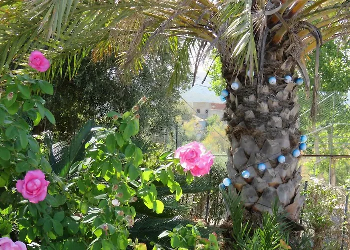 Monte Madalena 別荘