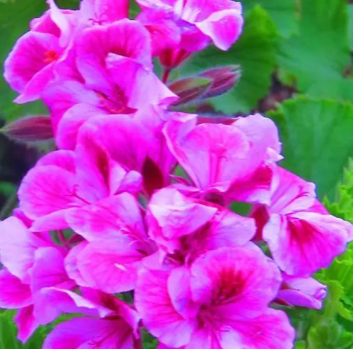 Monte Madalena Hébergement de vacances Adega