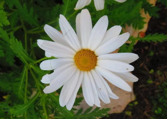 Hébergement de vacances Monte Madalena