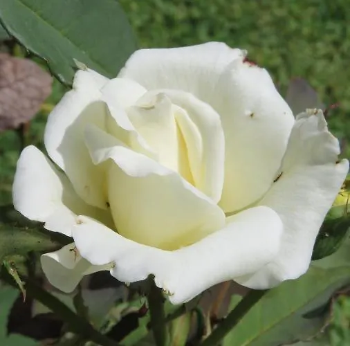 Monte Madalena Adega