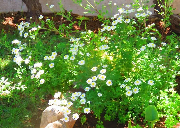 Hébergement de vacances Monte Madalena *